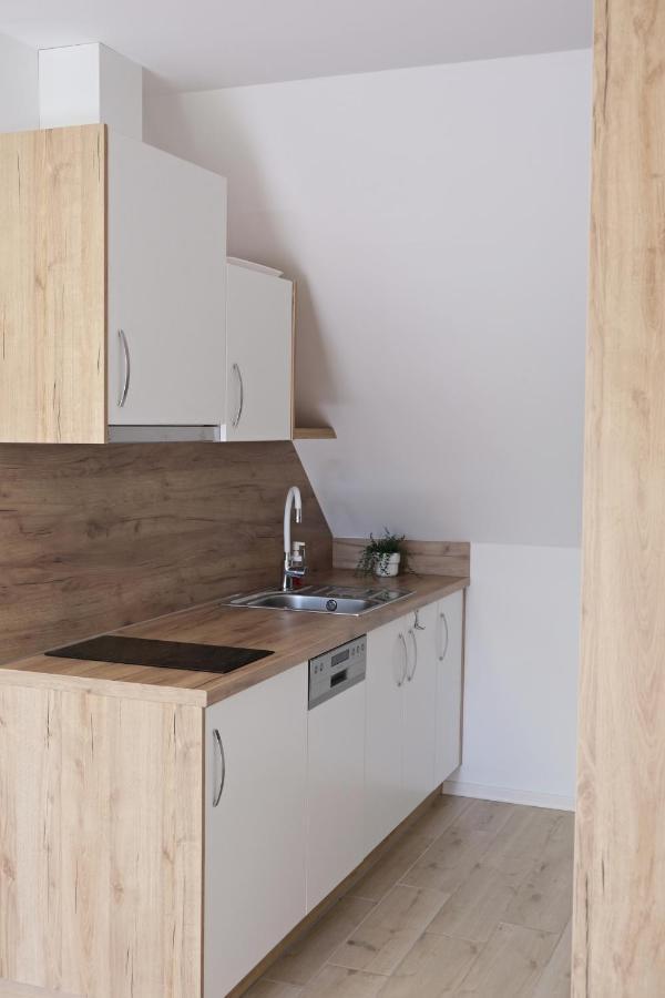 Apartmanovy Dum Na Kolonade レドニツェ エクステリア 写真